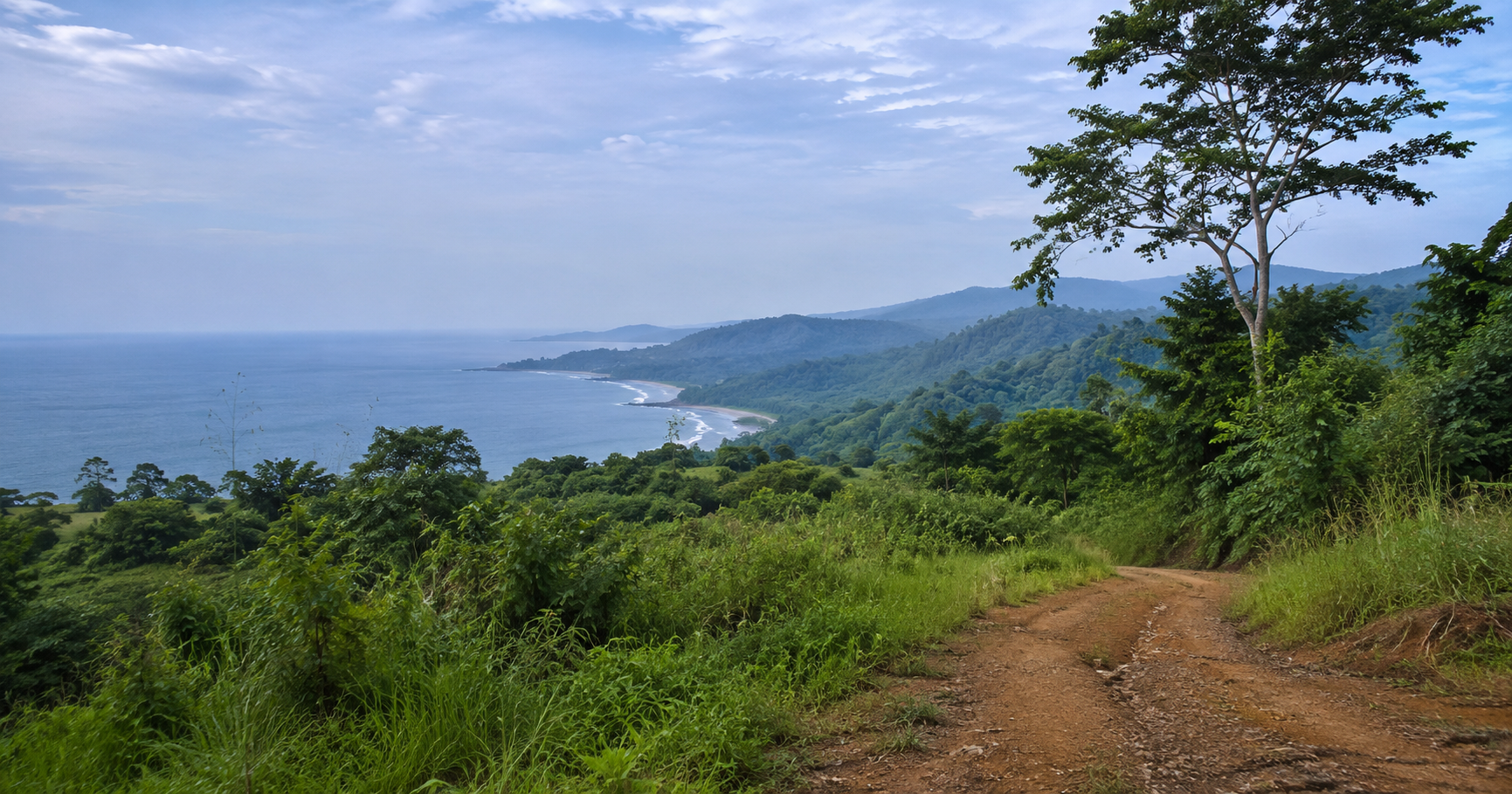 Tropical hillside access road with distant Pacific coastline in a Santa Catalina investment inspired visual